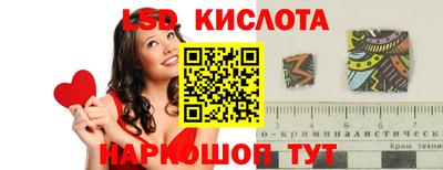 твердый Сланцы