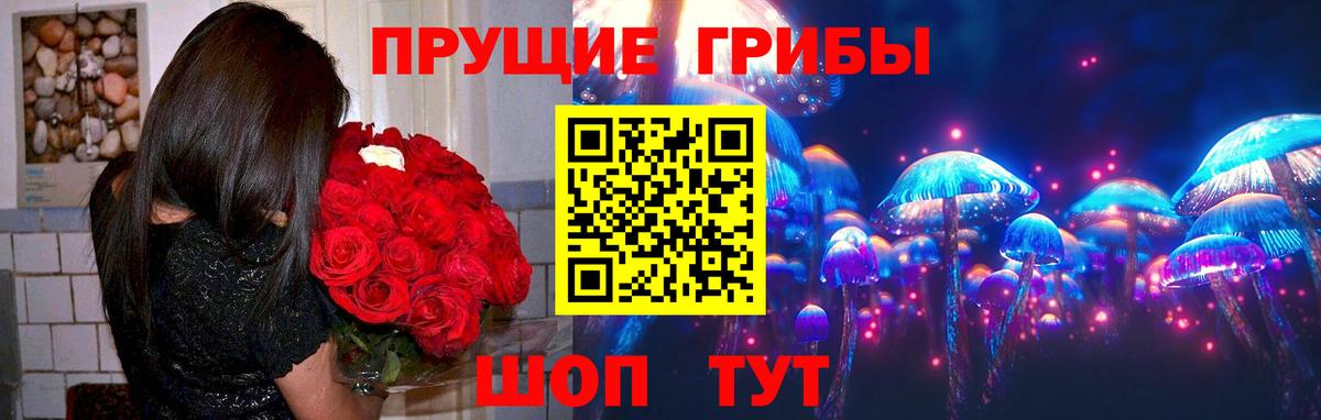 Псилоцибиновые грибы прущие грибы Саянск